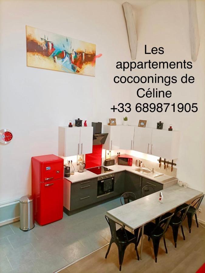 Superbe Appartement Type Loft En Duplex Rue Buat Châlons-en-Champagne Eksteriør bilde